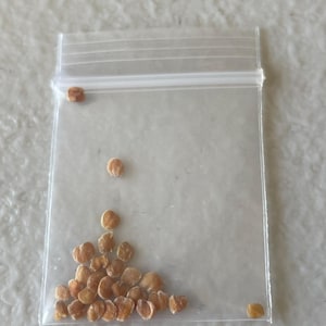 Tweety added a photo of their purchase