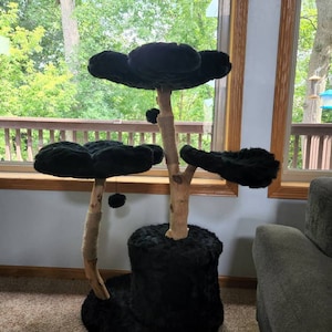 Sarah added a photo of their purchase