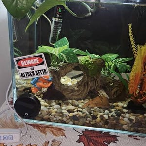 Stephanie added a photo of their purchase
