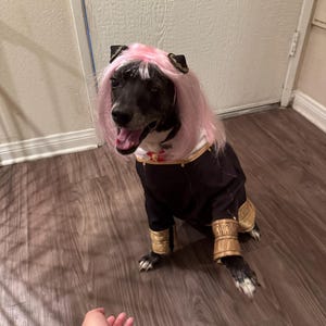 Noeli added a photo of their purchase