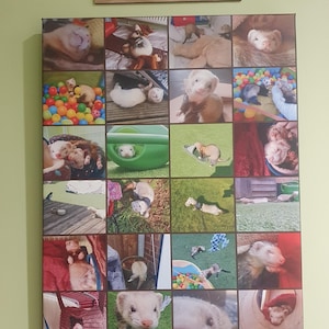 Emily added a photo of their purchase