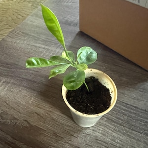 Edwin added a photo of their purchase