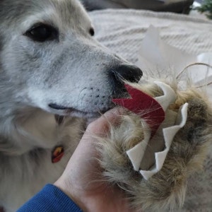 Day ha añadido una foto de su compra