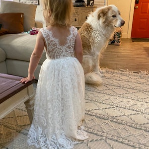 Inactive account added a photo of their purchase