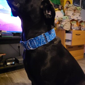 Tesse added a photo of their purchase