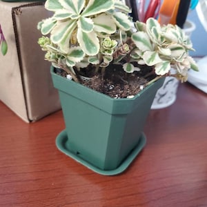 Debra added a photo of their purchase