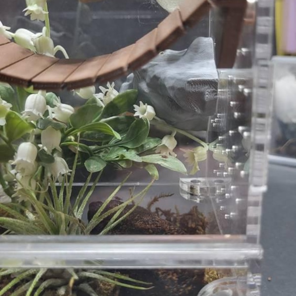 3D Universal Treehouse Insert for Jumping Spiders and Invertebrate ...