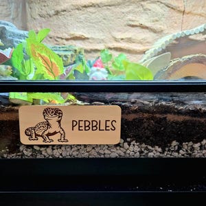Jody added a photo of their purchase