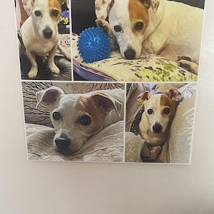 Christine added a photo of their purchase