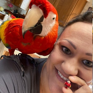 Leah heeft een foto van de aankoop toegevoegd