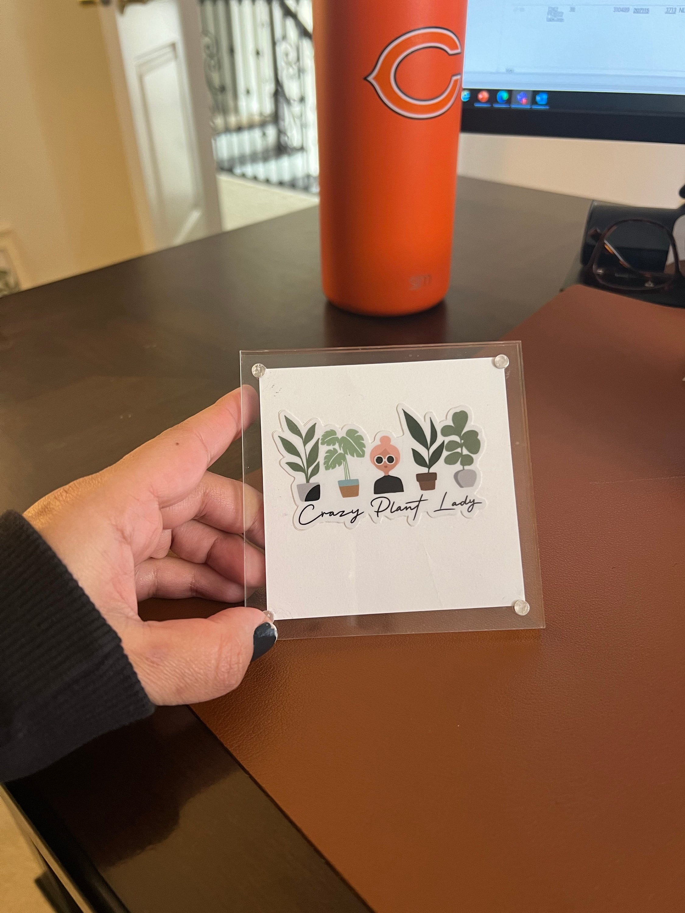Crazy Plant Lady Durable Sticker | With or Without Text | Plant Lover Decal | Vinyl Weatherproof Decal | Water Bottle Sticker | 3&quot;