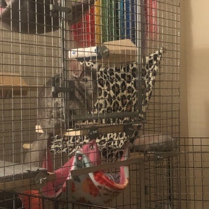 Dani added a photo of their purchase