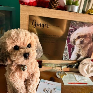 Emily added a photo of their purchase