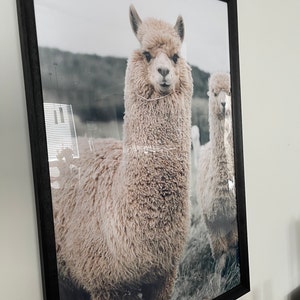 Arianna hat ein Foto des gekauften Artikels hinzugefügt