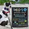 Dog Gotcha Day Sign Puppy 1 Year Poster Pet Birthday Stats Rescue Dog ...