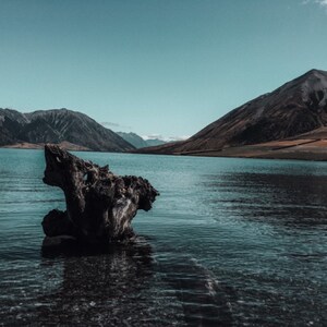 Carolyn added a photo of their purchase