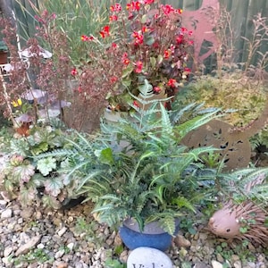 Sharon added a photo of their purchase
