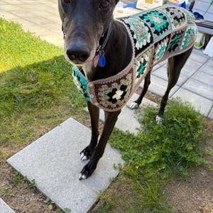 Amy ha aggiunto una foto del proprio acquisto