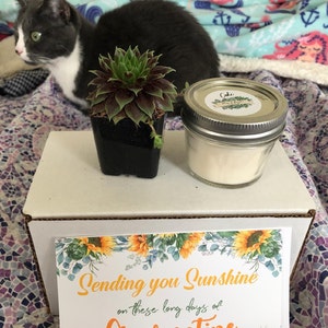 Donna added a photo of their purchase