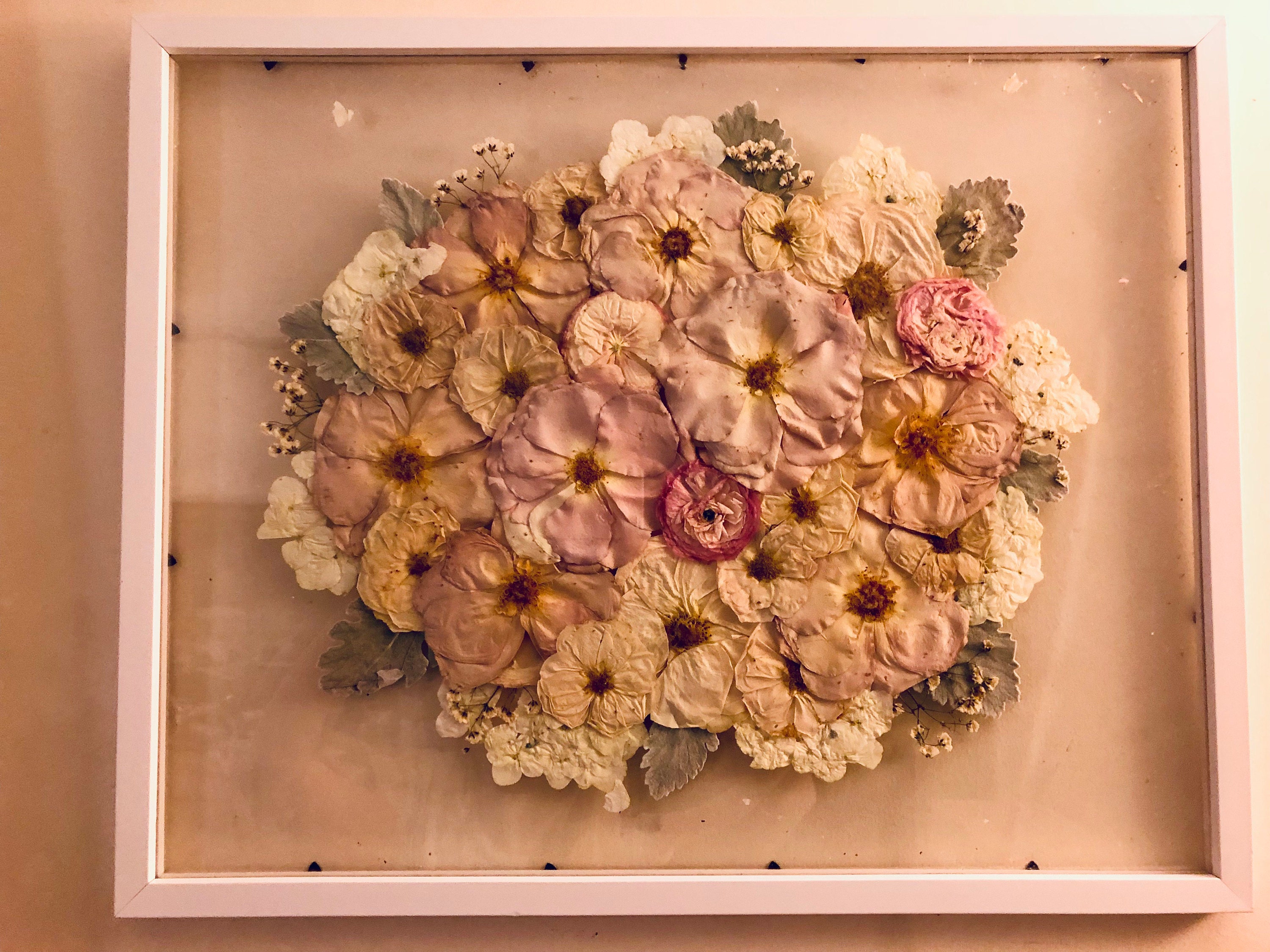 Preserved flowers from Etsy buyer's etsy review