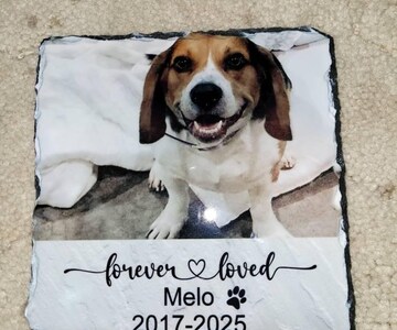 Pet Memorial Gift, Pet Memorial Stone, Rock Memorial Pet Loss Gift, Sympathy Gift , Personalized Pet Memorial, Personalized Slate Stone.
