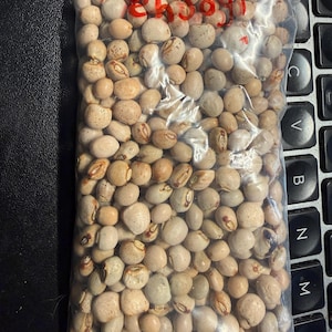 sittingelf added a photo of their purchase