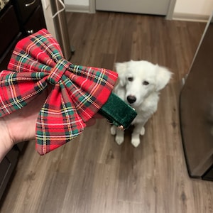 Jacquelynn added a photo of their purchase