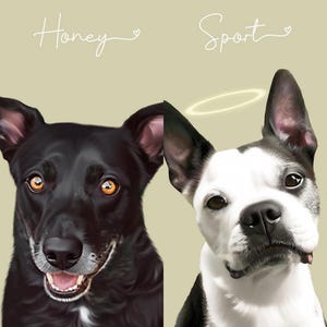 Shannon added a photo of their purchase