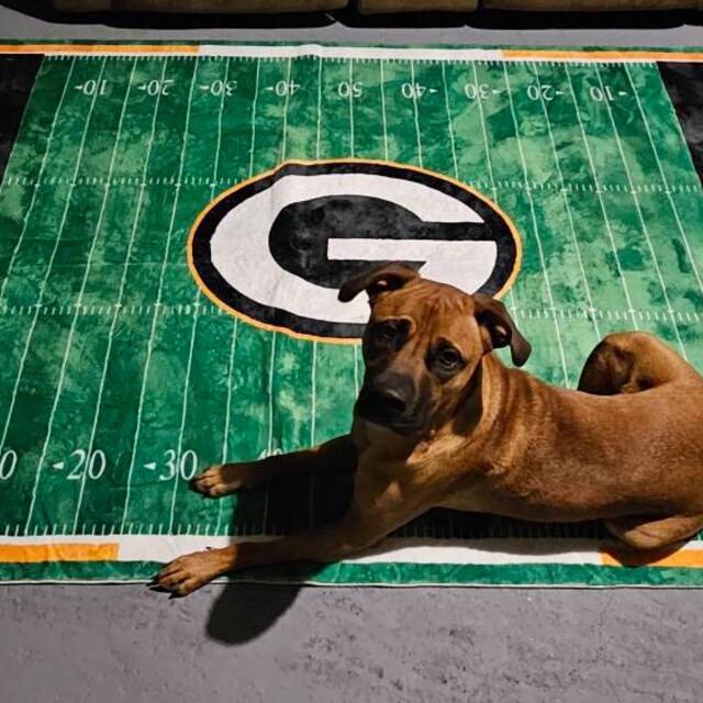 Football Field Area Rug With Your Team Logo, American Football