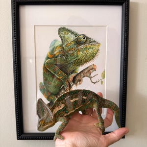 Meital adicionaram uma foto da sua compra