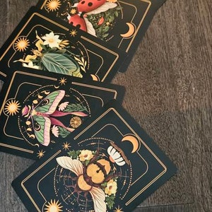 Lucie a ajouté une photo de son achat