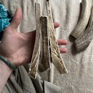 Finch added a photo of their purchase