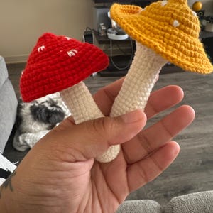 Raven added a photo of their purchase