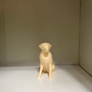 Sandy hat ein Foto des gekauften Artikels hinzugefügt