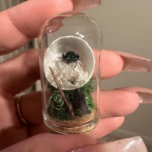 Amanda added a photo of their purchase