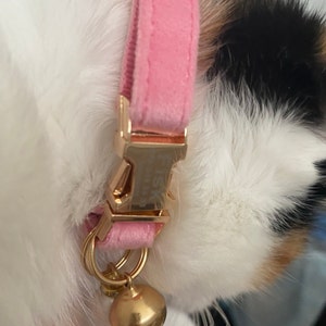 Archeryat added a photo of their purchase