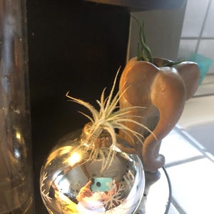 Rebeca added a photo of their purchase