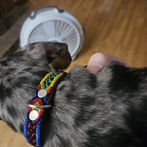 Lacey added a photo of their purchase