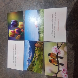 Stephane added a photo of their purchase