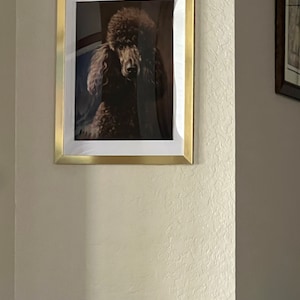 Gina added a photo of their purchase