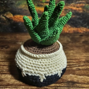 Elowyn added a photo of their purchase