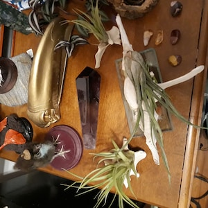 cass added a photo of their purchase