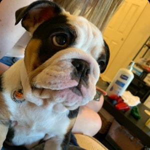 Violet added a photo of their purchase