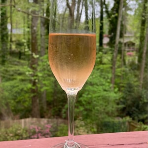 susan added a photo of their purchase