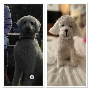 Julie ha añadido una foto de su compra