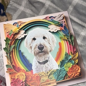 Shannon a ajouté une photo de son achat