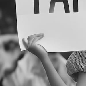 Ally dodał(a) zdjęcie swoich zakupów