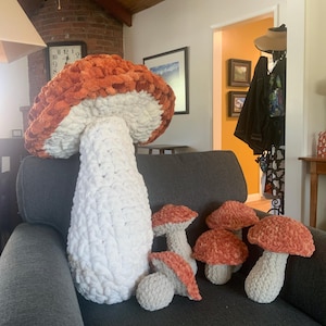 Lynn added a photo of their purchase