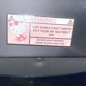 Kawaii Warning Car Label Cute Safety Sticker Babes Cant Drive Buckle Up Buttercup Enter At Your Own Risk