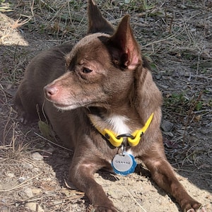 Dixie added a photo of their purchase